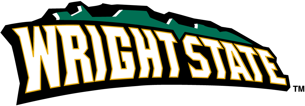 Wright State Raiders 2001-Pres Wordmark Logo v2 iron on transfers for T-shirts